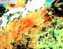 NOAA人工衛星画像:黒潮域, 1日合成画像(2025/07/20UTC)