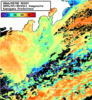 NOAA人工衛星画像:神奈川県近海, 1日合成画像(2025/07/30UTC)