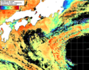 NOAA人工衛星画像:黒潮域, 1日合成画像(2025/07/30UTC)