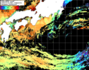 NOAA人工衛星画像:黒潮域, 1日合成画像(2025/07/31UTC)