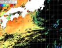 NOAA人工衛星画像:黒潮域, 1日合成画像(2025/08/01UTC)