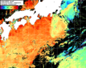NOAA人工衛星画像:黒潮域, 1日合成画像(2025/08/03UTC)