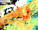 NOAA人工衛星画像:黒潮域, 1日合成画像(2025/08/04UTC)