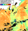 NOAA人工衛星画像:神奈川県近海, パス=20250805 11:40 UTC
