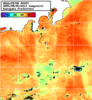 NOAA人工衛星画像:神奈川県近海, 1日合成画像(2025/08/05UTC)