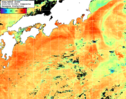 NOAA人工衛星画像:黒潮域, 1日合成画像(2025/08/05UTC)