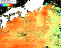 NOAA人工衛星画像:黒潮域, 1日合成画像(2025/08/06UTC)