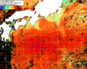 NOAA人工衛星画像:黒潮域, 1日合成画像(2025/08/30UTC)