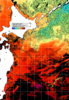 NOAA人工衛星画像:親潮域, 1日合成画像(2025/09/14UTC)