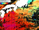 NOAA人工衛星画像:黒潮域, 1日合成画像(2025/09/15UTC)