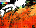 NOAA人工衛星画像:黒潮域, 1日合成画像(2025/09/18UTC)