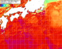 NOAA人工衛星画像:黒潮域, 1週間合成画像(2025/09/15～2025/09/21UTC)