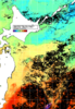 NOAA人工衛星画像:親潮域, 1週間合成画像(2025/11/05～2025/11/11UTC)