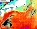 NOAA人工衛星画像:黒潮域, 1日合成画像(2026/01/10UTC)