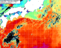 NOAA人工衛星画像:黒潮域, 1週間合成画像(2026/01/04～2026/01/10UTC)