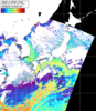NOAA人工衛星画像:日本全域, パス=20260121 00:40 UTC