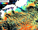 NOAA人工衛星画像:黒潮域, パス=20260123 11:50 UTC