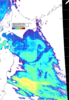 NOAA人工衛星画像:親潮域, パス=20260302 12:10 UTC