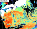 NOAA人工衛星画像:黒潮域, パス=20260304 10:50 UTC
