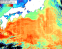 NOAA人工衛星画像:黒潮域, 1日合成画像(2026/03/05UTC)