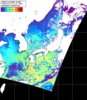 NOAA人工衛星画像:日本全域, パス=20260310 01:20 UTC