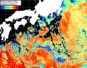 NOAA人工衛星画像:黒潮域, パス=20260409 00:30 UTC