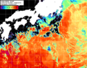 NOAA人工衛星画像:黒潮域, 1日合成画像(2026/04/09UTC)