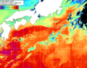 NOAA人工衛星画像:黒潮域, 1日合成画像(2026/04/10UTC)