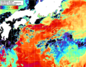NOAA人工衛星画像:黒潮域, 1日合成画像(2026/04/19UTC)
