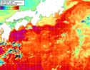 NOAA人工衛星画像:黒潮域, 1日合成画像(2026/04/21UTC)