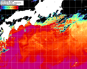 NOAA人工衛星画像:黒潮域, 1日合成画像(2026/04/29UTC)
