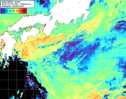 NOAA人工衛星画像:黒潮域, 1日合成画像(2026/05/25UTC)
