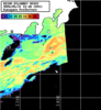 NOAA人工衛星画像:神奈川県近海, パス=20260531 12:40 UTC