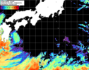 NOAA人工衛星画像:黒潮域, 1日合成画像(2026/06/02UTC)