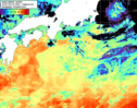 NOAA人工衛星画像:黒潮域, 1日合成画像(2026/06/03UTC)