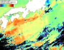 NOAA人工衛星画像:黒潮域, 1日合成画像(2026/06/12UTC)