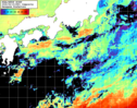 NOAA人工衛星画像:黒潮域, 1日合成画像(2026/06/15UTC)