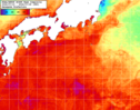 NOAA人工衛星画像:黒潮域, 1週間合成画像(2026/07/19～2026/07/25UTC)