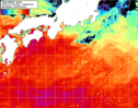 NOAA人工衛星画像:黒潮域, 1日合成画像(2026/07/28UTC)