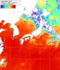 NOAA人工衛星画像:日本全域, 1日合成画像(2026/07/31UTC)