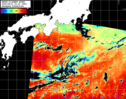 NOAA人工衛星画像:黒潮域, パス=20260801 23:20 UTC