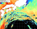 NOAA人工衛星画像:黒潮域, 1日合成画像(2026/08/05UTC)