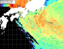 NOAA人工衛星画像:黒潮域, パス=20260807 10:30 UTC