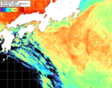 NOAA人工衛星画像:黒潮域, 1日合成画像(2026/08/07UTC)