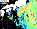 NOAA人工衛星画像:黒潮域, パス=20260808 11:50 UTC