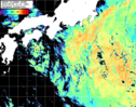 NOAA人工衛星画像:黒潮域, パス=20260808 12:10 UTC