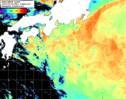 NOAA人工衛星画像:黒潮域, 1日合成画像(2026/08/08UTC)