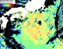 NOAA人工衛星画像:黒潮域, パス=20260809 11:50 UTC