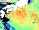 NOAA人工衛星画像:黒潮域, 1日合成画像(2026/08/09UTC)