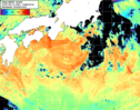 NOAA人工衛星画像:黒潮域, 1日合成画像(2026/08/11UTC)